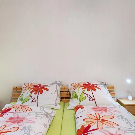 Apartment Ferienwohnung Frische Brise Grafenhausen